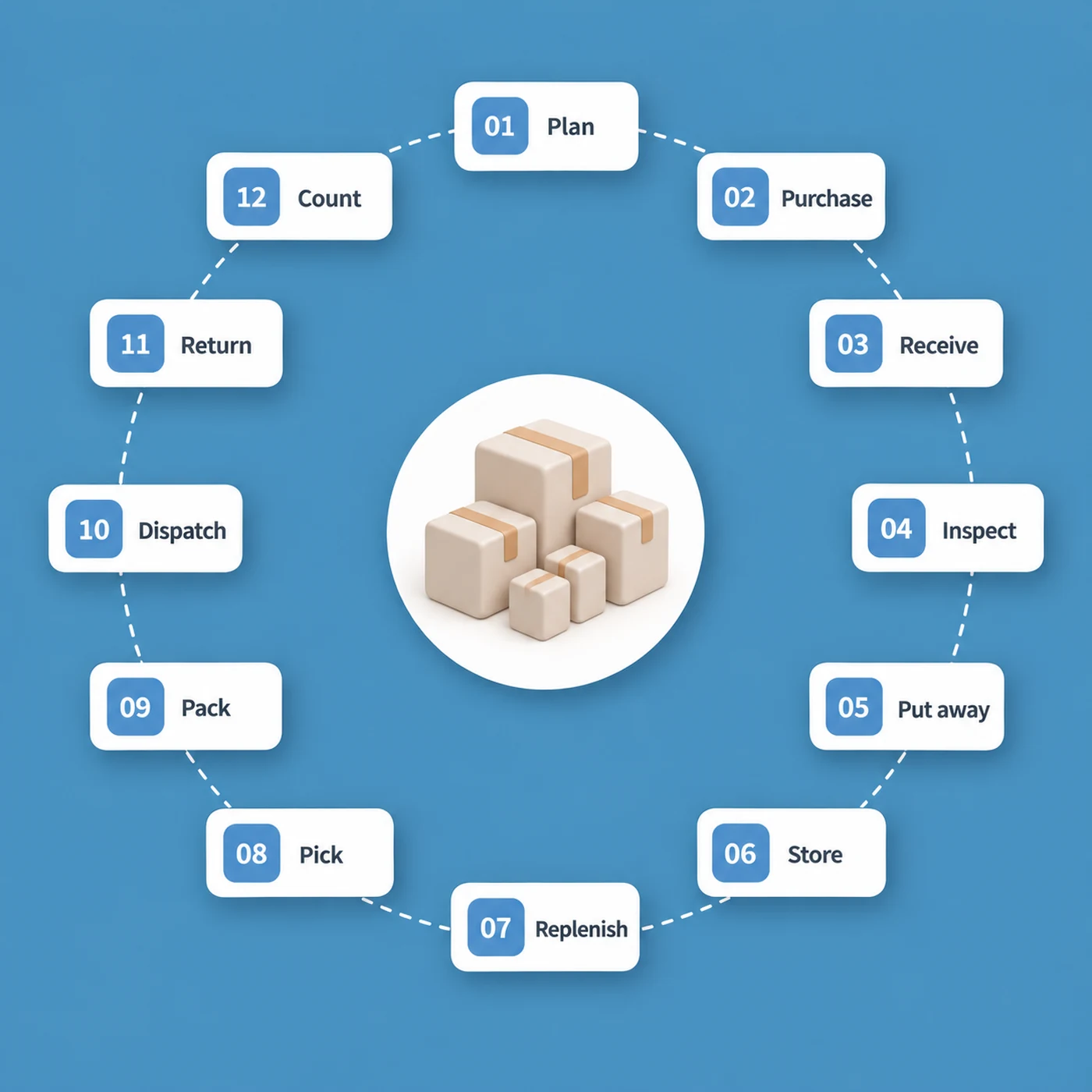 The twelve-stage warehouse lifecycle drawn as a ring: 01 Plan, 02 Purchase, 03 Receive, 04 Inspect, 05 Put away, 06 Store, 07 Replenish, 08 Pick, 09 Pack, 10 Dispatch, 11 Return, 12 Count, and Count returns to Plan.