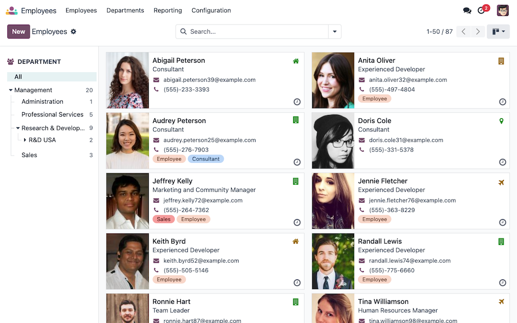 Odoo's employees interface.